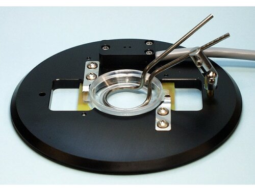 Delta T Culture Dish Accessory Cooling Ring