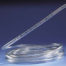 Tygon vinyl tubing - 1/16" i.d. (per foot)