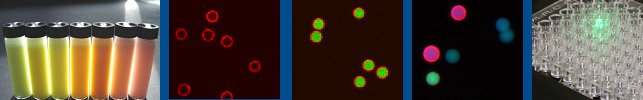 Fluorescent_Beads_Header Fluorescent Beads Header