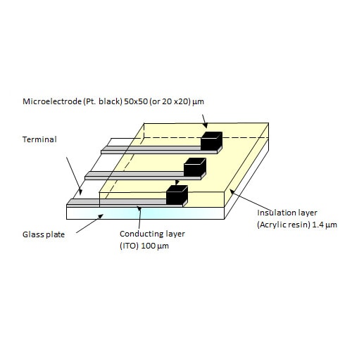 Microelectrode