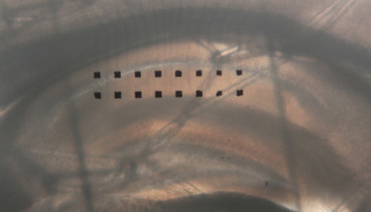 2x8 Probe 300h