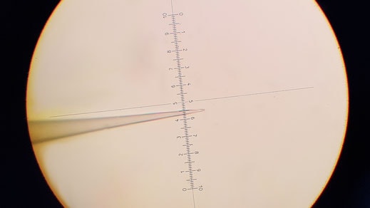 image-2-µm-b Zeitz-DMZ-Puller