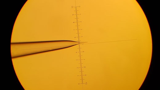 image-5-µm-a Zeitz-DMZ-Puller