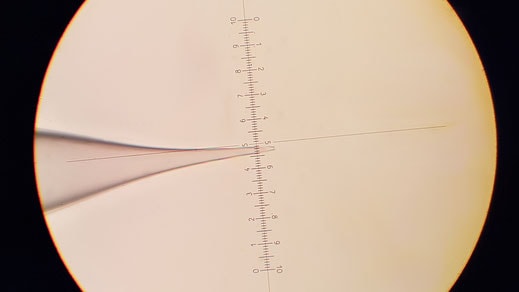 image-5-µm-b Zeitz-DMZ-Puller