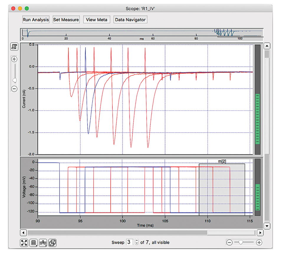 SutterPatch Reanalysis