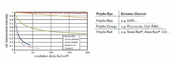 csm_Stabillity_fluorophore Stabillity fluorophore