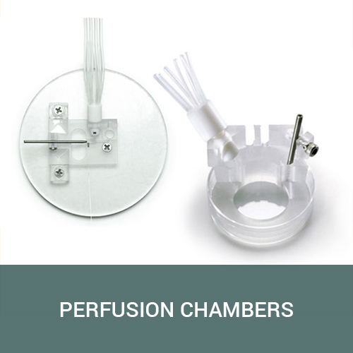 Perfusion Chambers